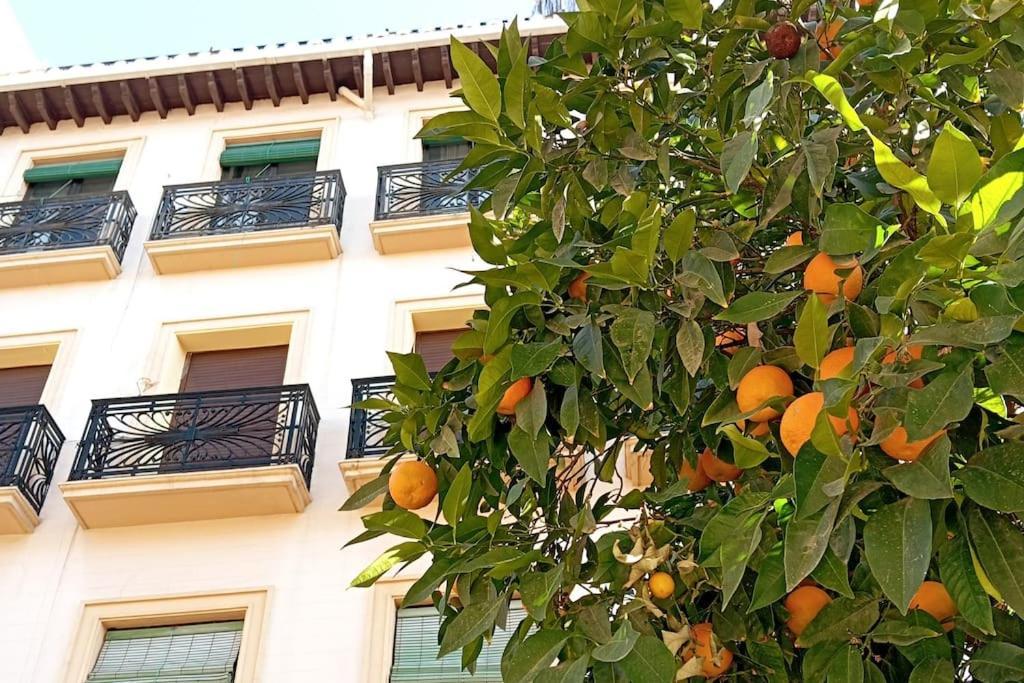 גרנדה Large Family Home In Albaicin Center מראה חיצוני תמונה